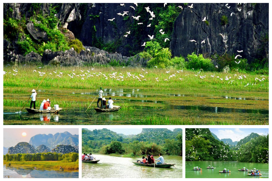 tour-ninh-binh